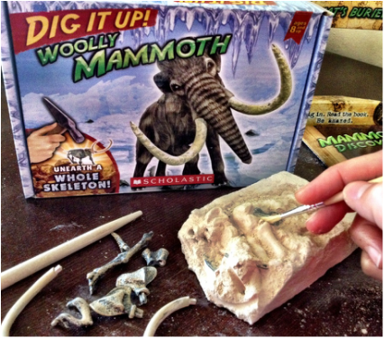 Fossil Dig Kits for Kids